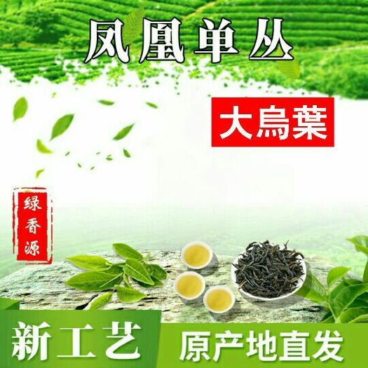潮州单枞茶 凤凰单丛 大乌叶 秋茶 花香型 韵香型