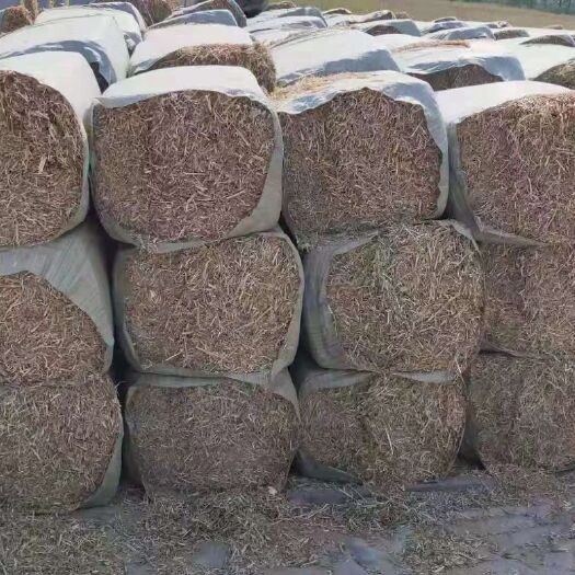 正阳县花生秧
