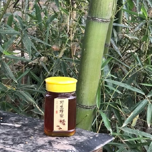 玉山县 中华土蜂，土蜂蜜