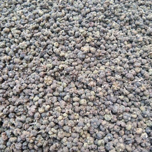 柳州 吴茱萸中花干货，自产。:品种一优特  5   号