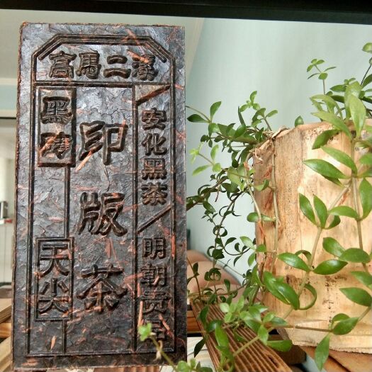 安化县安化黑茶 纯荒高马二溪老树原料茶叶