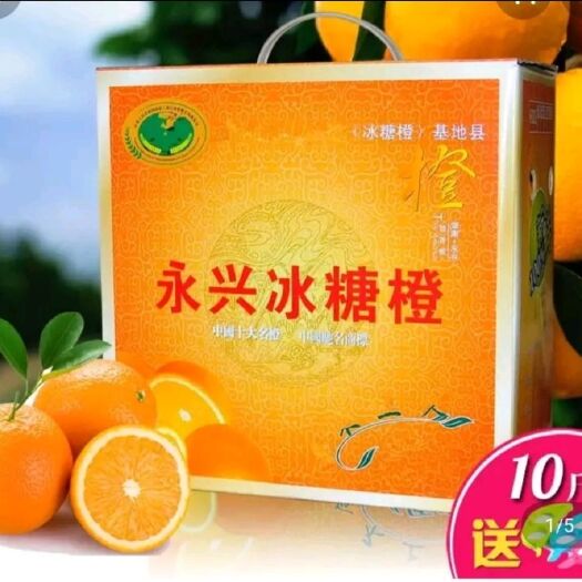 永兴县冰糖橙 好吃不上火，果粒更青春!