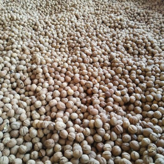 哈密新疆185核桃 今年新货量大、质量好。