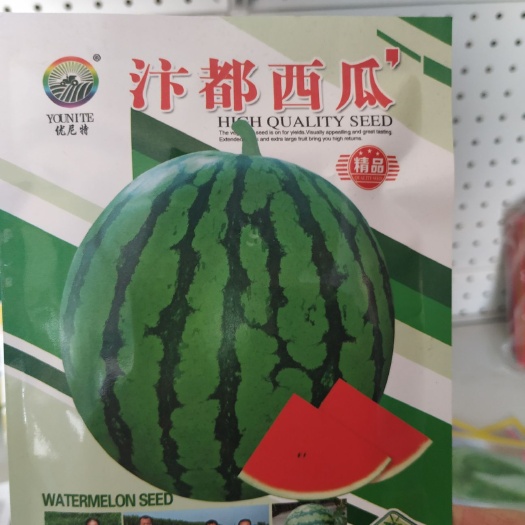 商丘早佳8424西瓜品 汴都 8424的延续品种中早熟中心含糖