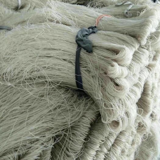 沭阳县 手工红薯粉丝一手厂家货源