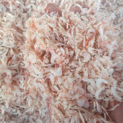 滨州虾皮渤海湾特产价格低廉量大从优