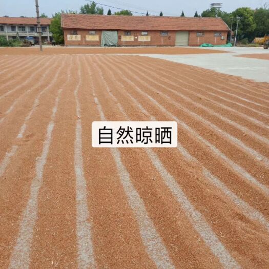 老河口市红缨子高粱 1等品 霉变 ≤1%