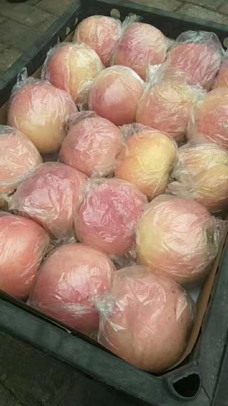 红将军苹果大量供应，价格便宜，货源充足