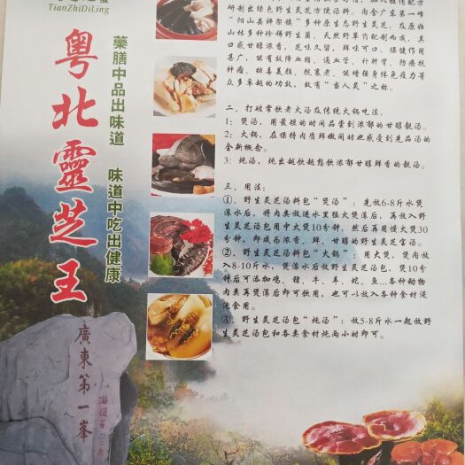 阳山县 灵芝汤包