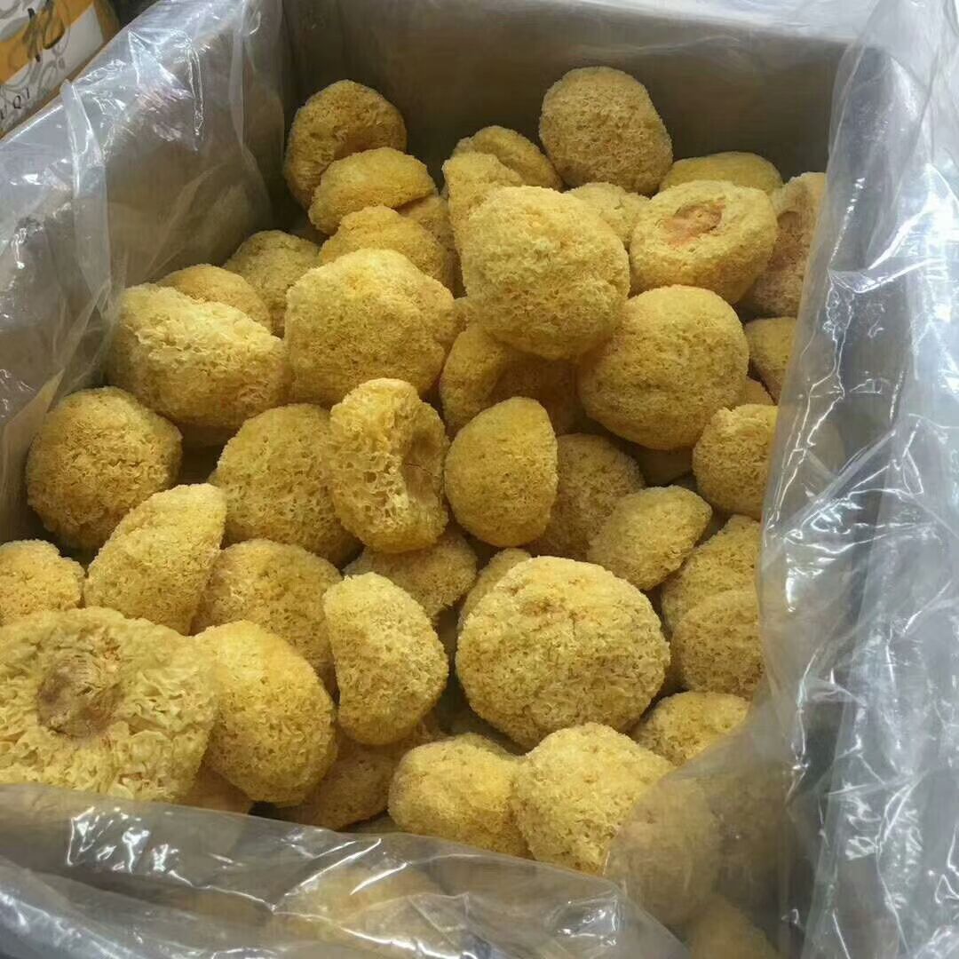 古田银耳丑耳糯耳