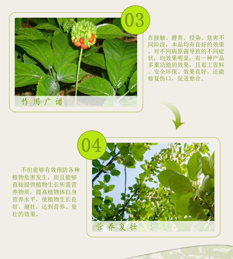  霉止 番茄辣椒灰霉病叶霉病等病害专用