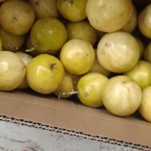 玉林 黄金百香果果园直销