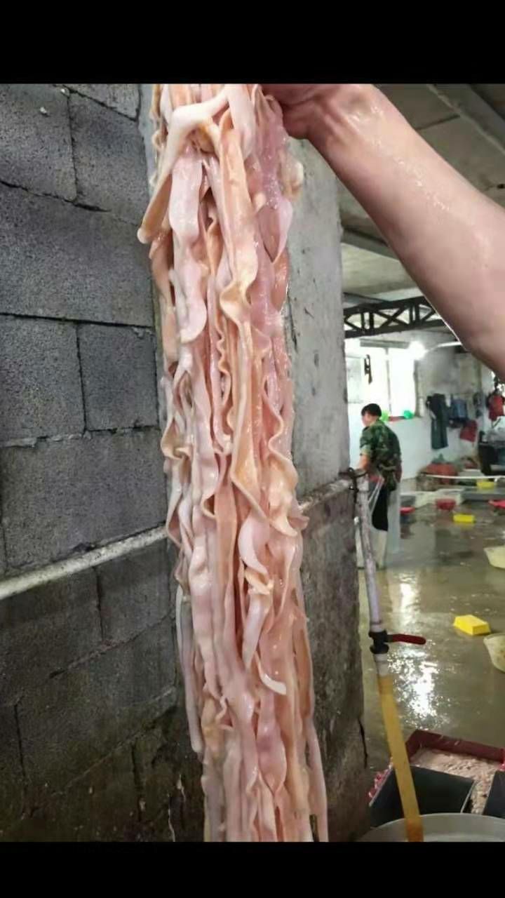  批发鹅肠，批发鹅产品，批发黑棕鹅，批发东北鹅肠，批发九尺鹅