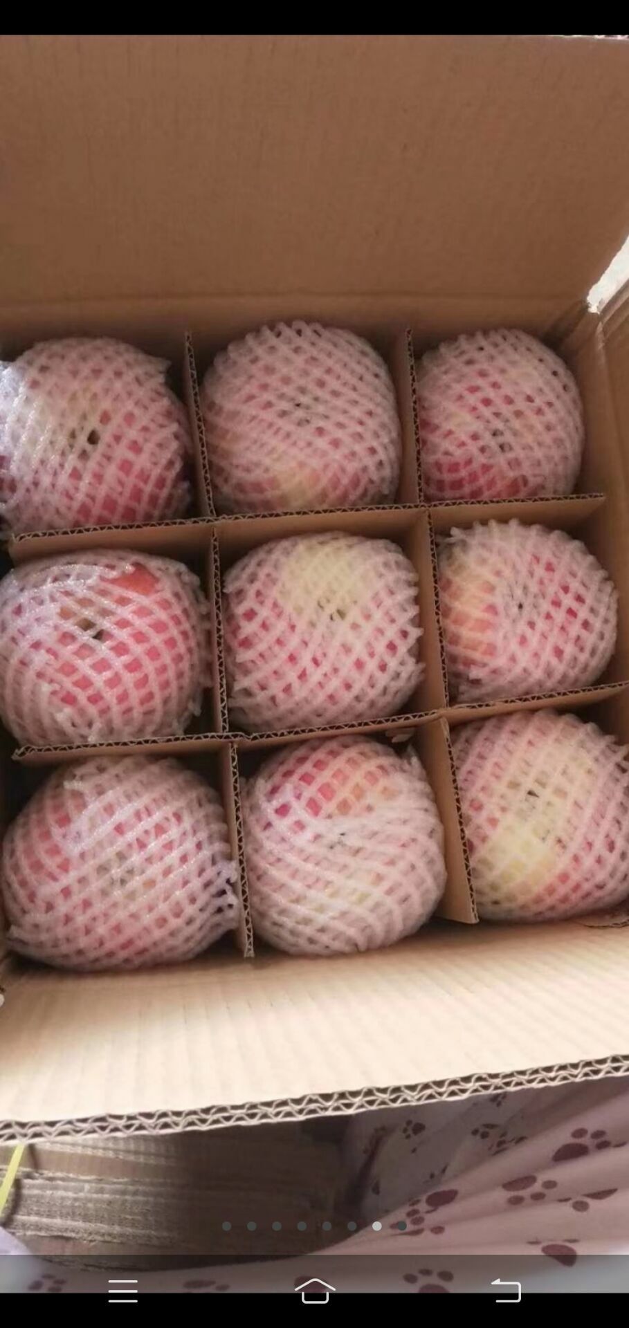 红富士苹果 黄土高坡红富士，个大，色红，脆甜