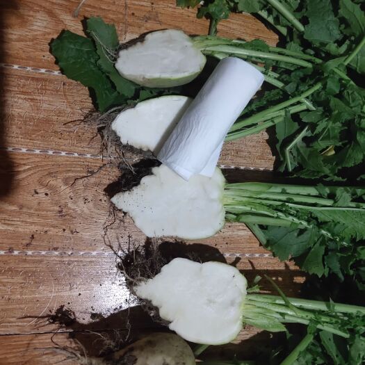 文水县芥菜大头菜上市了