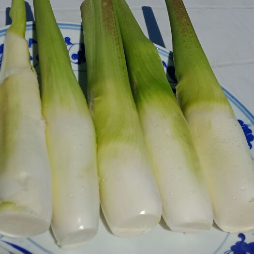 睢宁县 徐州睢宁美人茭白