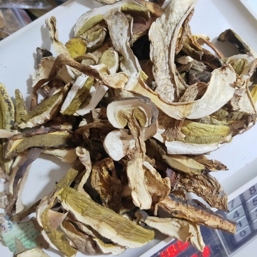 思茅美味牛肝菌、白牛肝（羊肝菌）