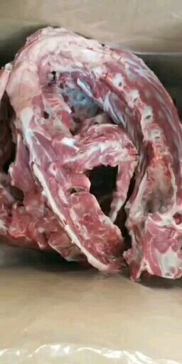 阳信县 多肉大羊，羊蝎子