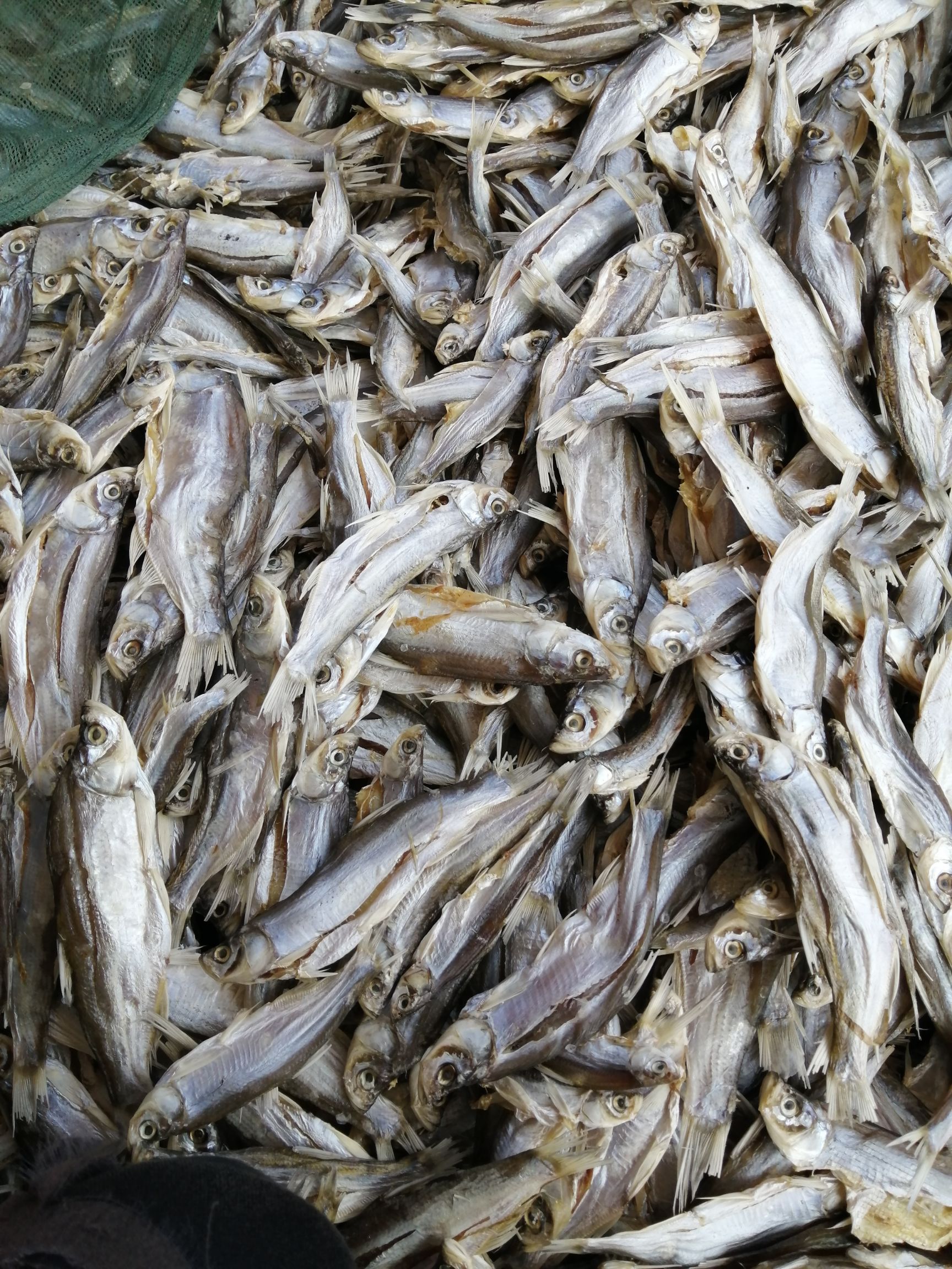 翘嘴白咸鱼干刁子鱼干小鱼干风干鱼