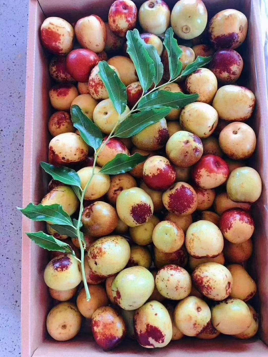 新疆冬枣，口感好，甜度高，同比质量价格低