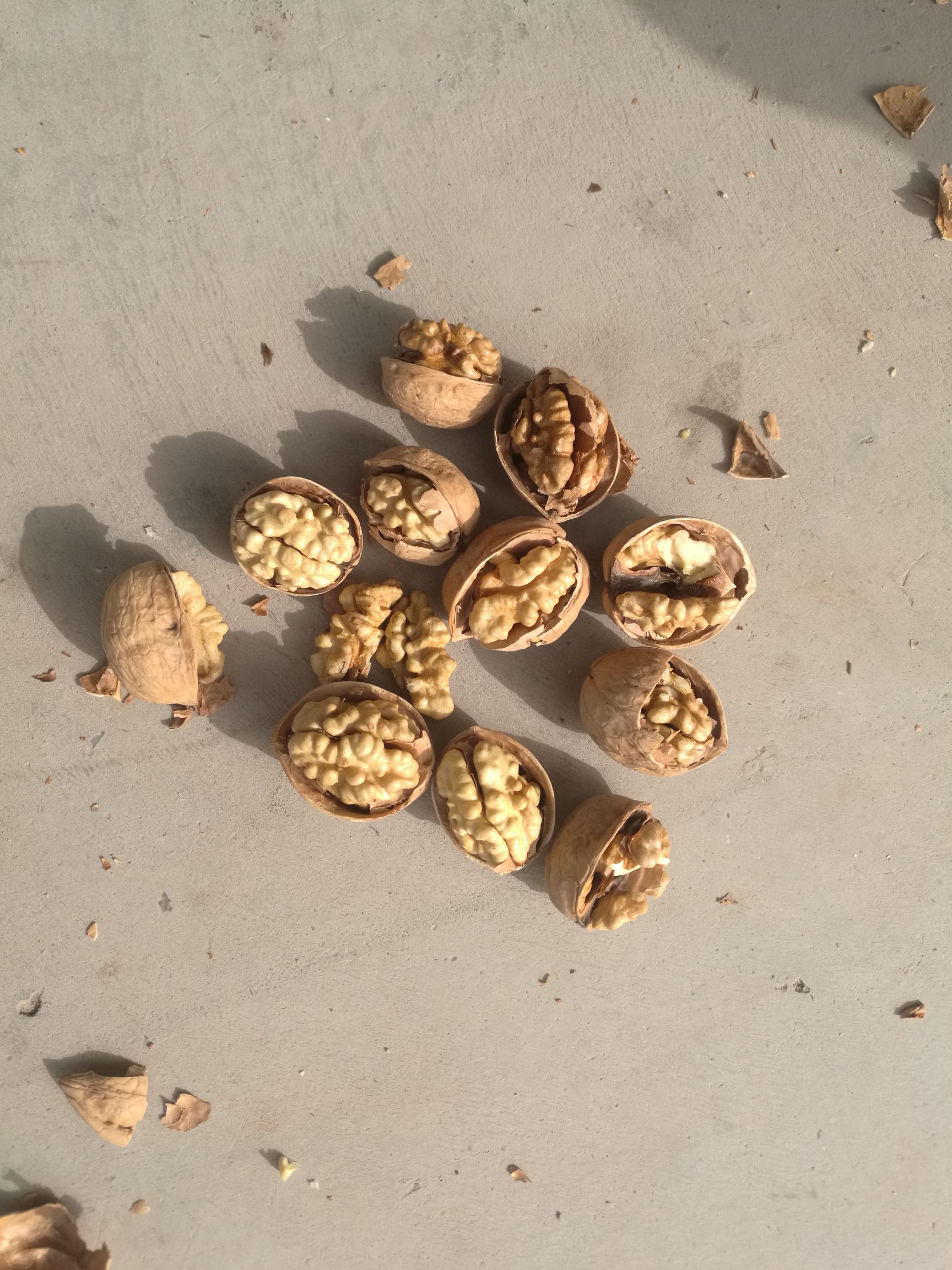  阿克苏温185纸皮核桃-阿克苏纸皮核桃/核心产区手捏即开