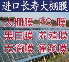 塑料膜黑白膜长寿膜地膜精品5+1水晶PO膜
支持订做量大优惠