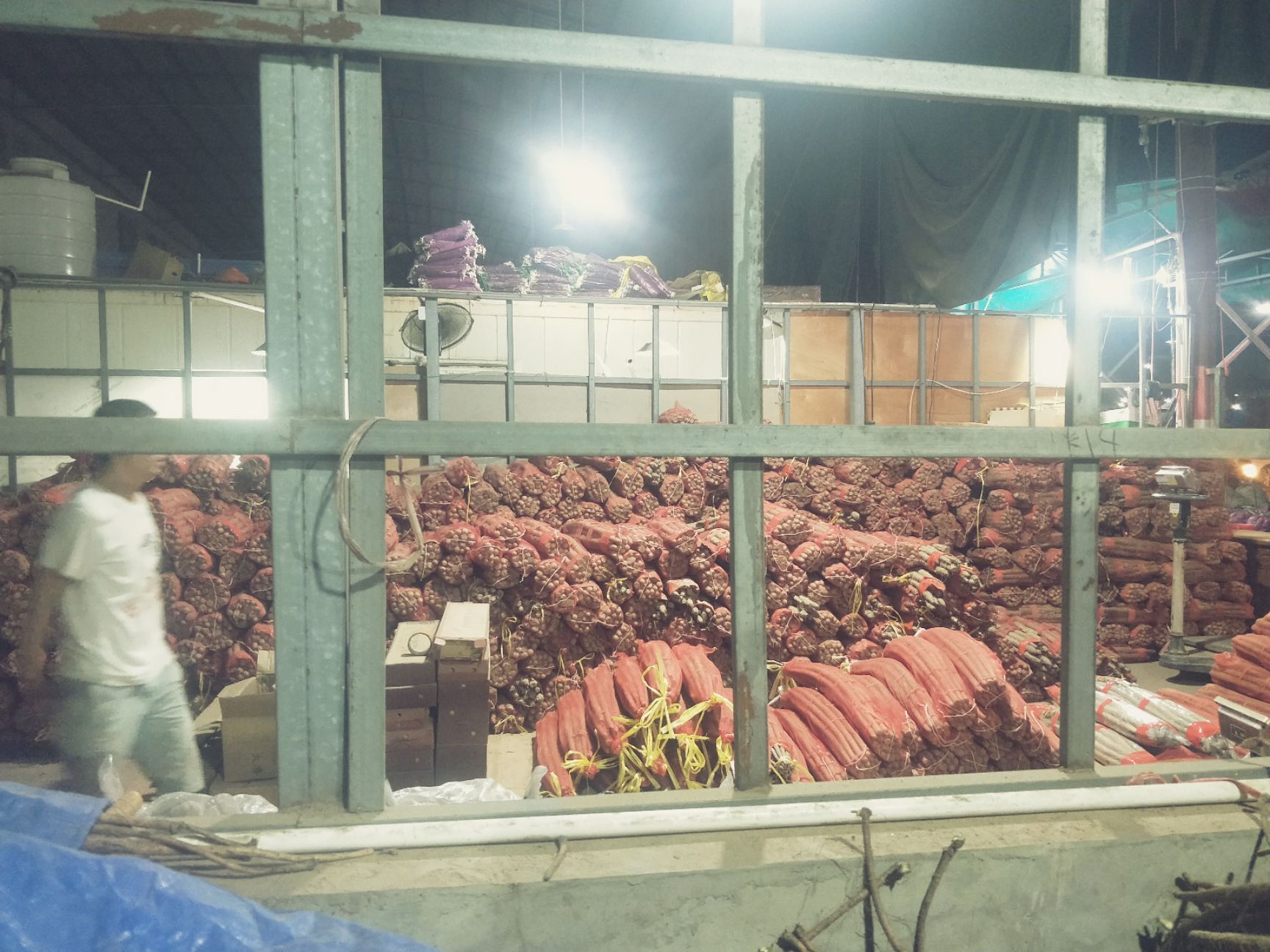 正宗 铁棍山药70--100以上