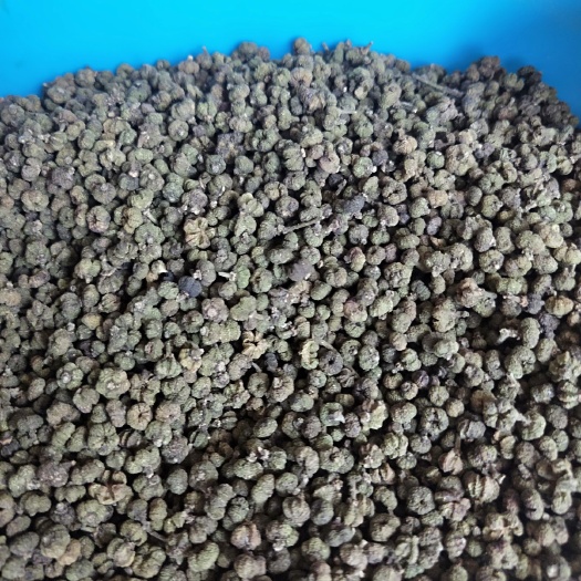 柳城县广西中花吴茱萸统货出售