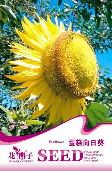 沭阳县向日葵种子 厂家原装小彩包各类向日葵种籽观赏食用盆栽四季开花室内外易活