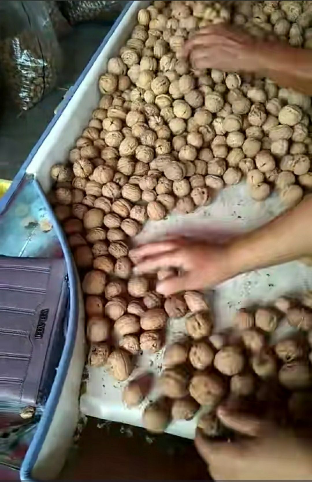  供应最后一点这样核桃了，货量有限！