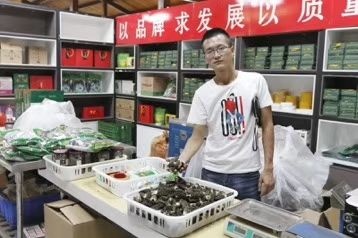 绵阳 供应羊肚菌菌种