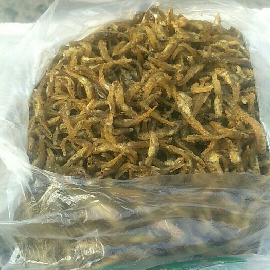 横州市小黄鱼干 油炸小黄鱼