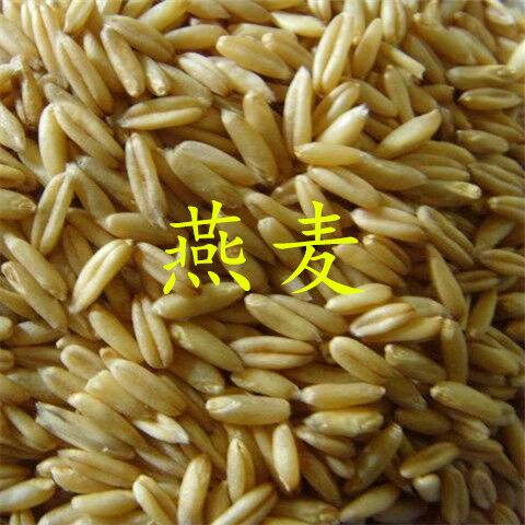  八宝粉五谷粉黑芝麻糊精细研磨一件包邮