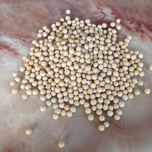 莫旗芽豆690 优质蛋白豆，价低货好