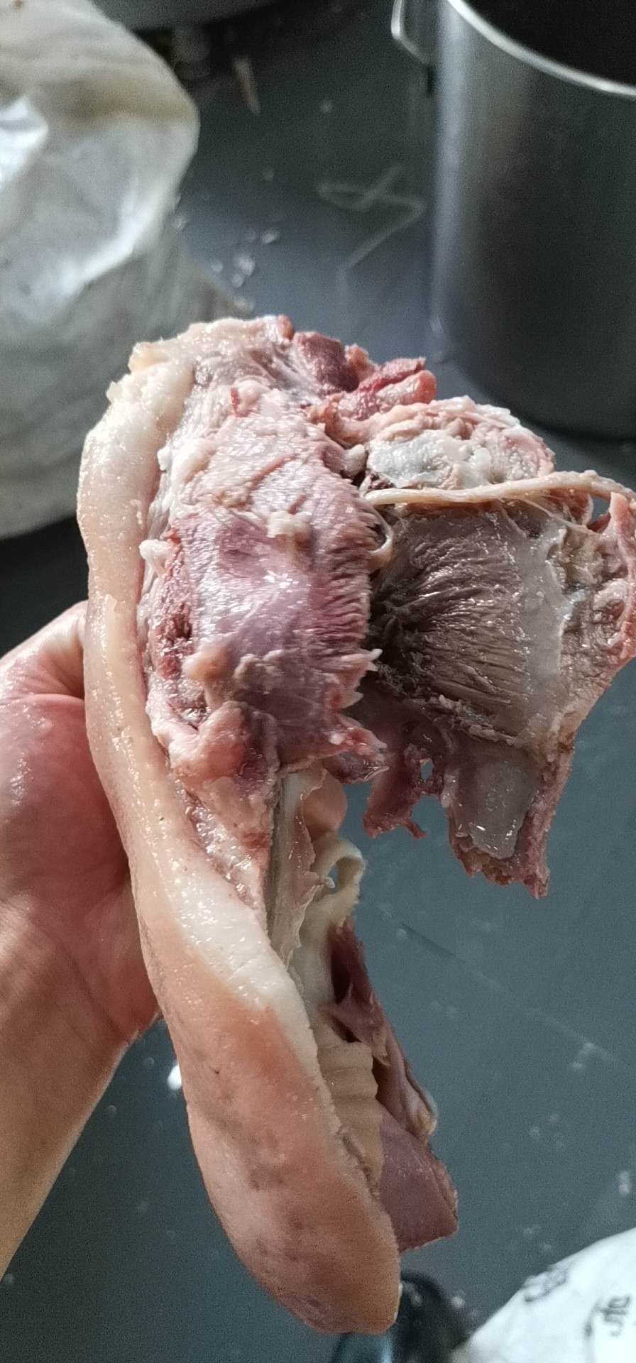 猪皮  猪头肉猪耳朵猪头皮，全国发货