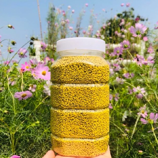 油茶花粉  蜂花粉油菜純粉天然食用花粉新鲜干燥质量保证