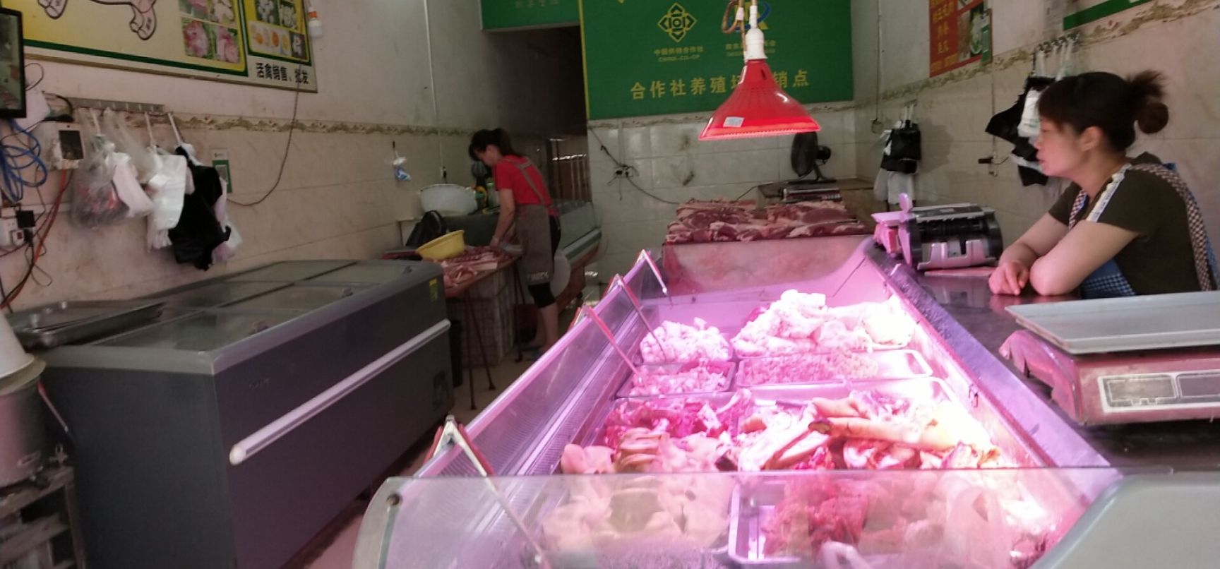 猪肉丸  已配送，南宁，百色，田东，凌云，德宝，平果，有问题包退货。