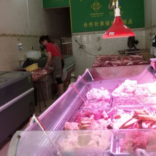 田东县猪肉丸  已配送，南宁，百色，田东，凌云，德宝，平果，有问题包退货。