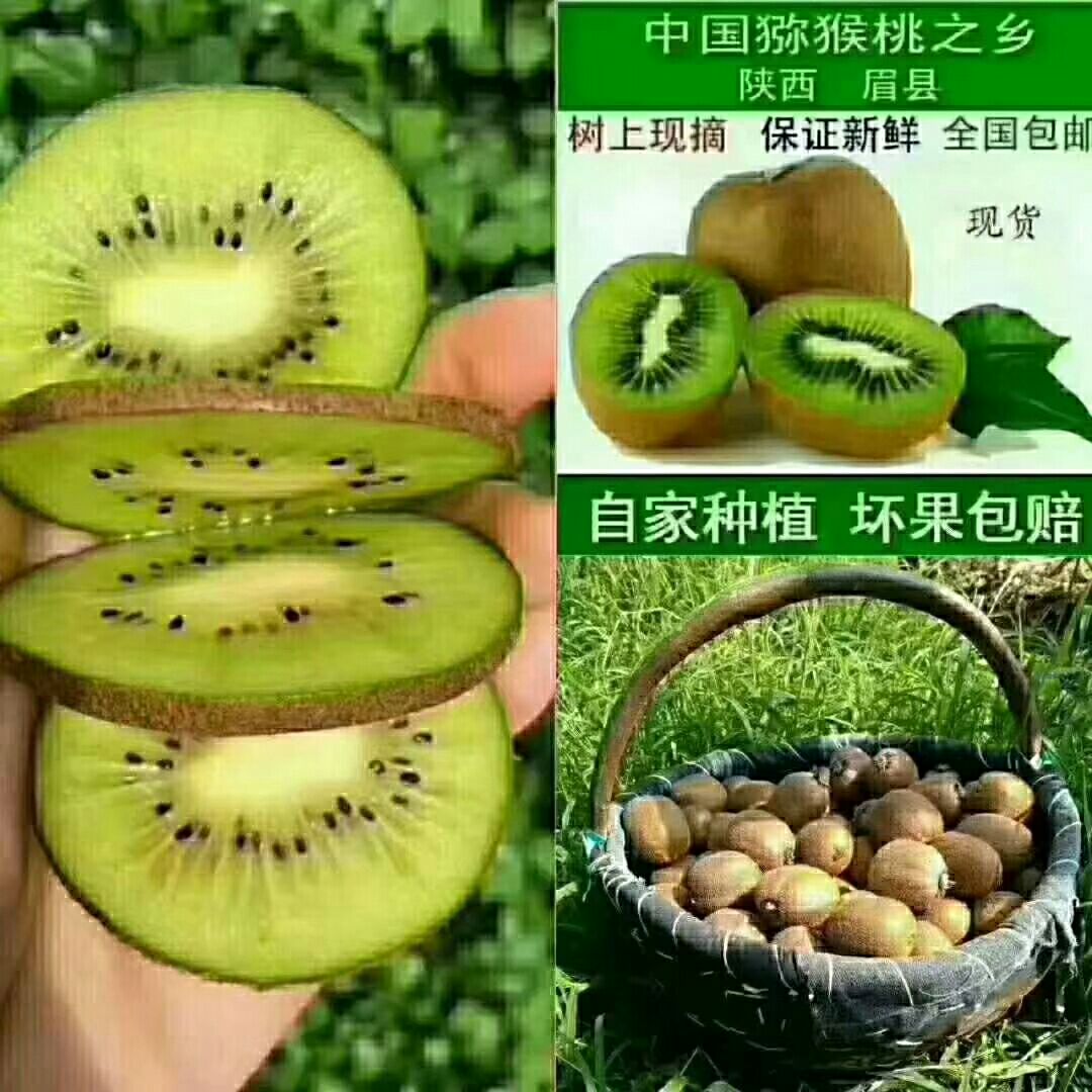 眉县猕猴桃  眉县徐香猕猴桃（量大从优）
规格：5斤/箱   10斤/箱