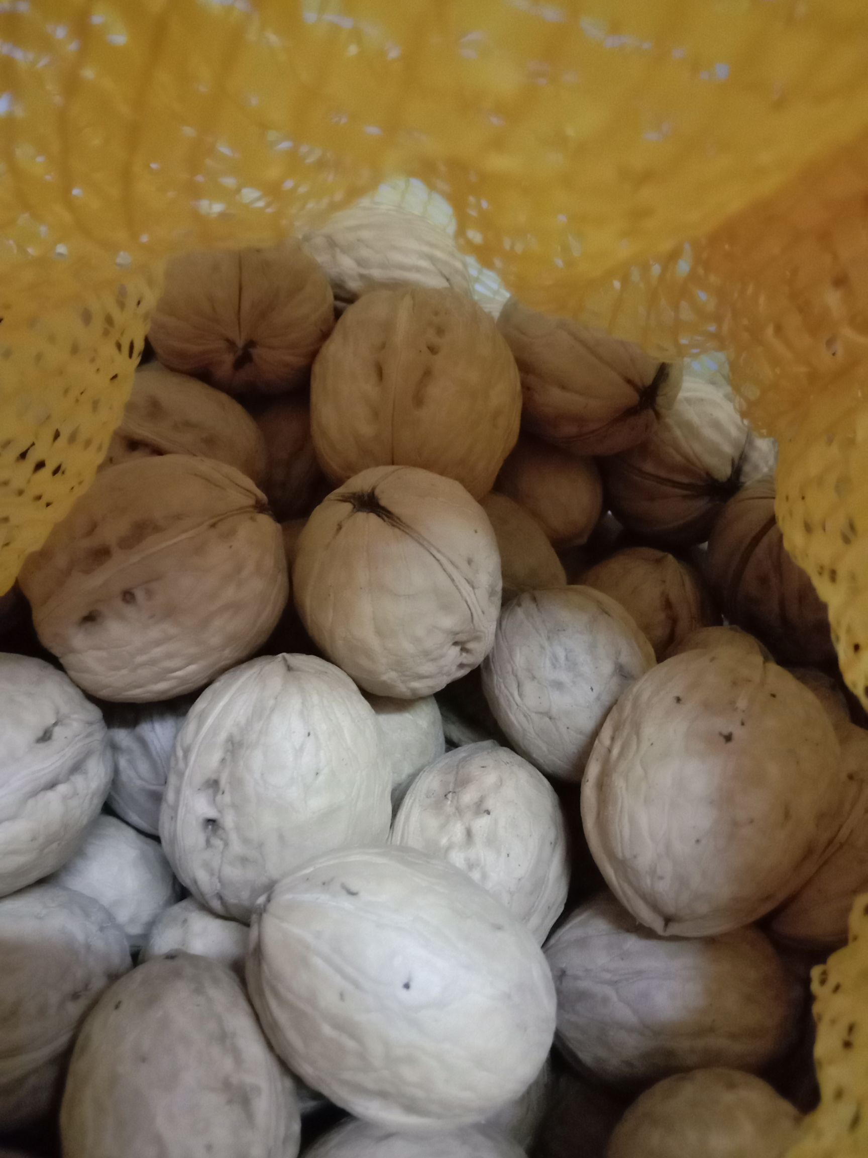  起批，精品核桃商品果