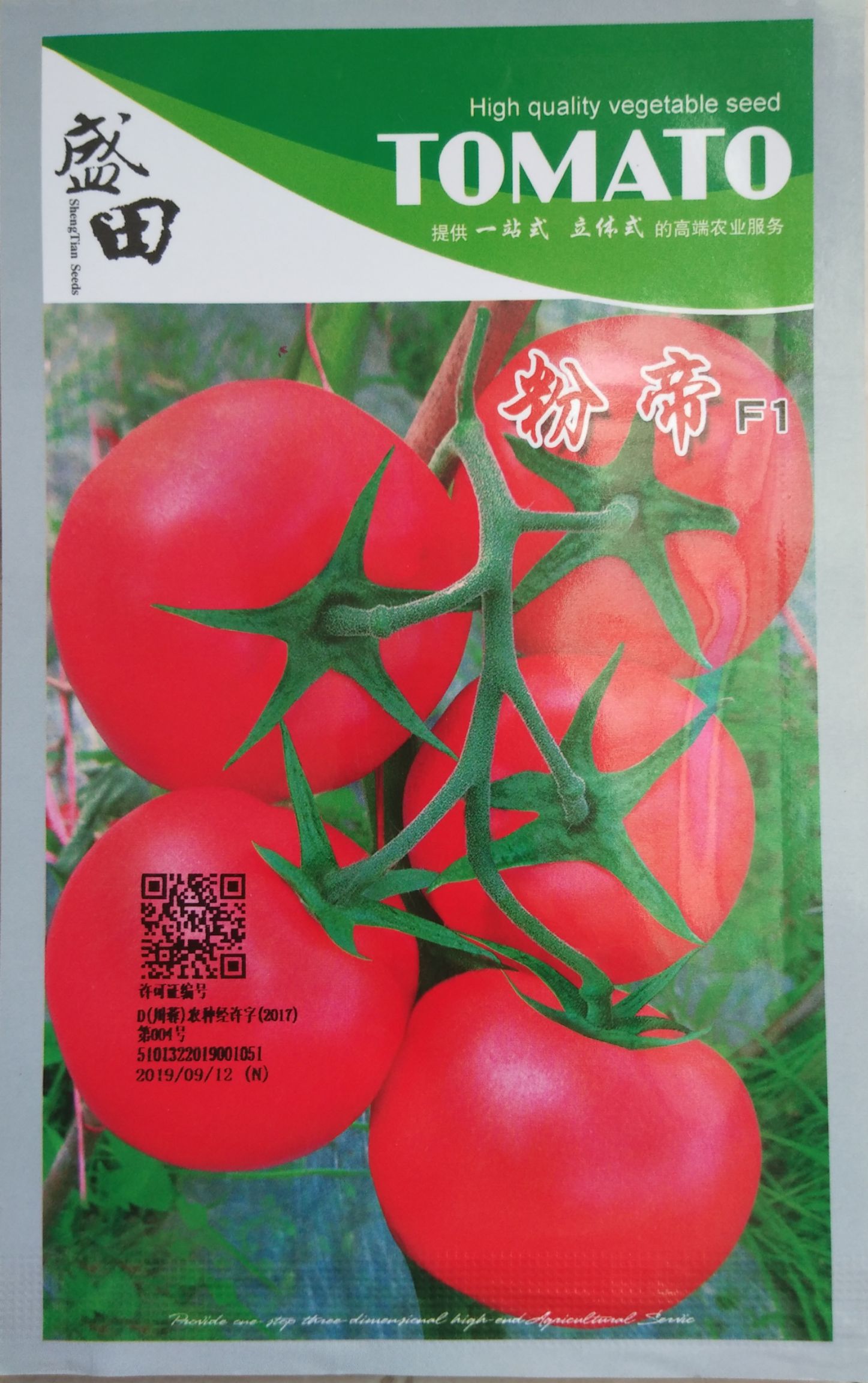 以色列引进粉果番茄种子 番茄种子 粉果番茄种子