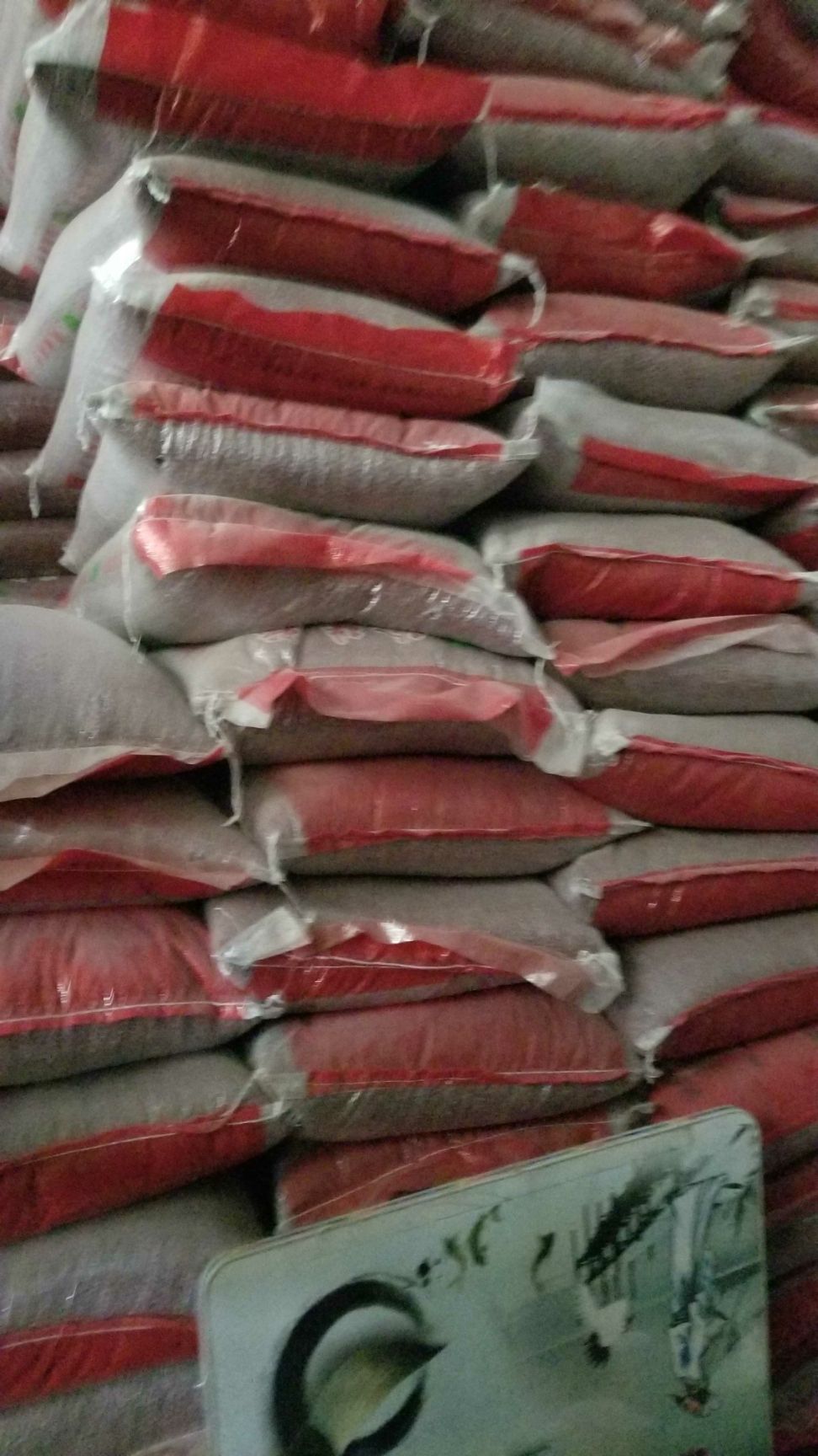 珍珠粒小红豆日本红红小豆，芽豆芽苗豆红豆苗豆