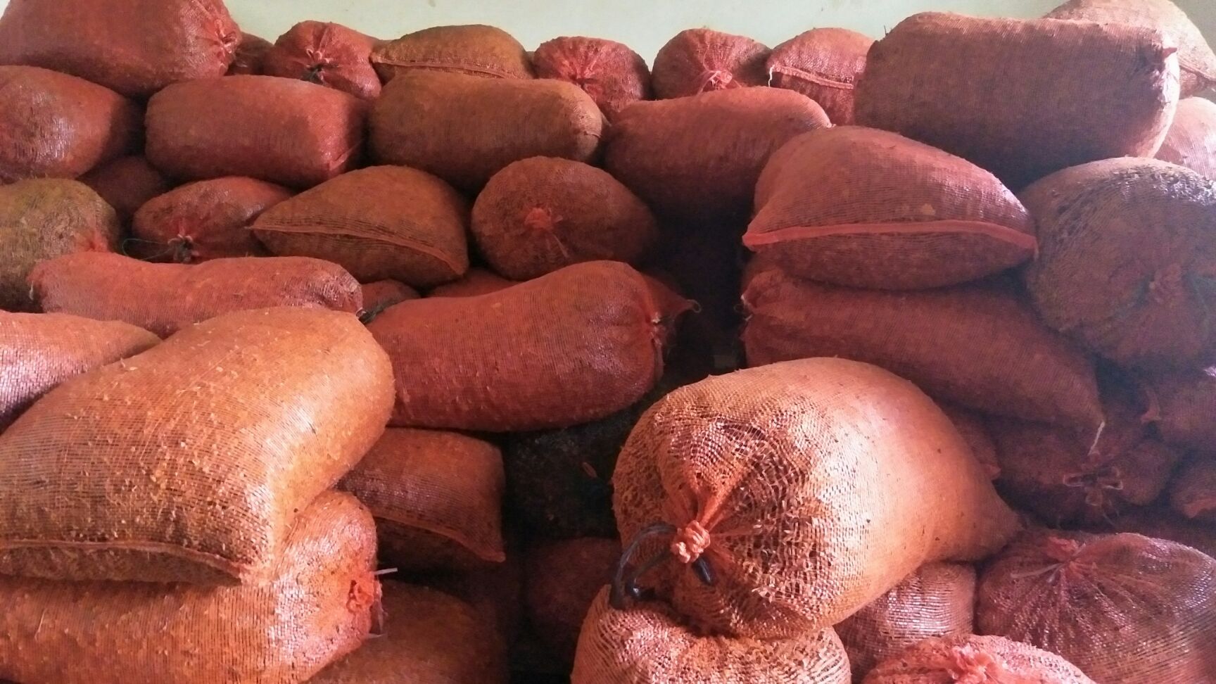  水荡足干的大红八角