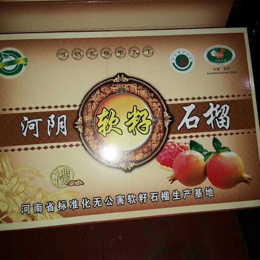 荥阳市 河阴软籽石榴