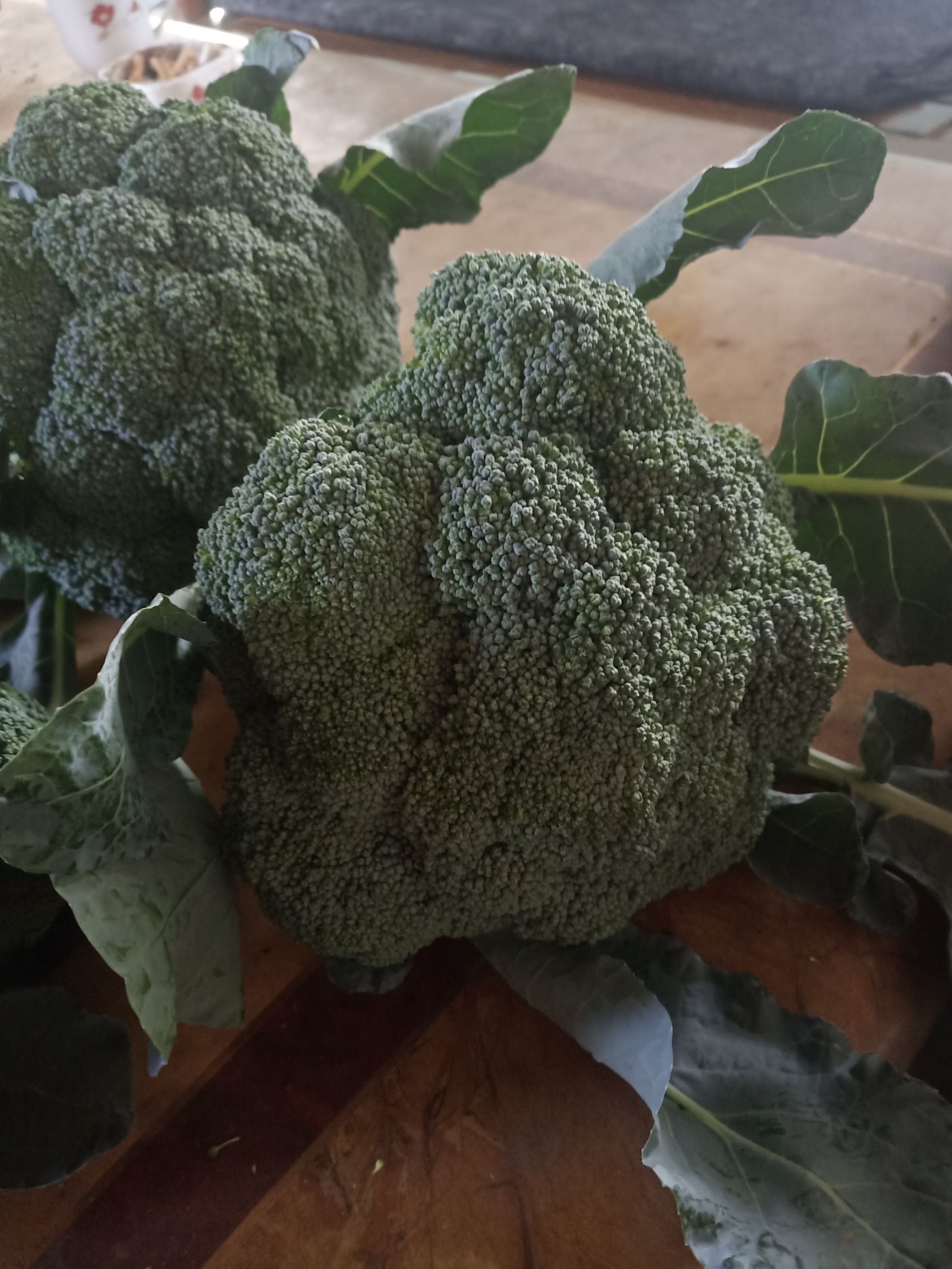 炎秀西兰花 通货