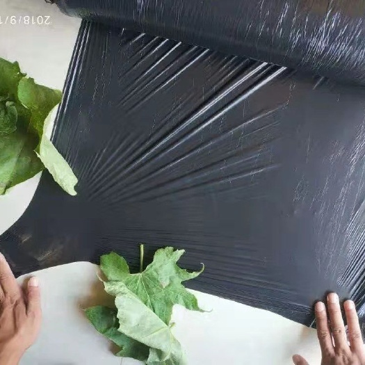 天津塑料膜聚丙烯地膜银灰地膜黑白膜