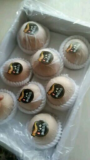  秋月梨，品质高大上，入口甜蜜，吃不够的梨