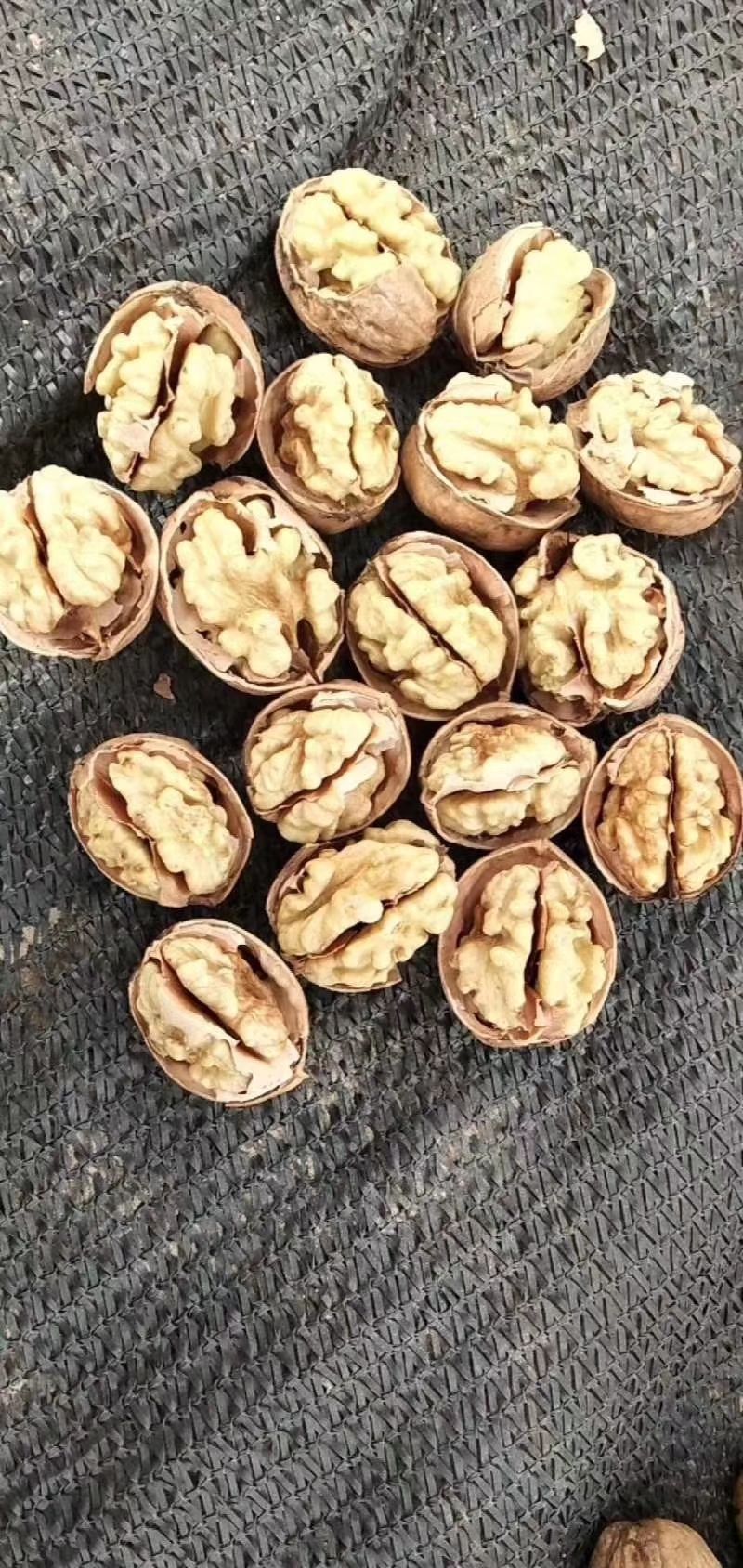 新货新疆185核桃，皮薄肉厚个头大，纸皮核桃