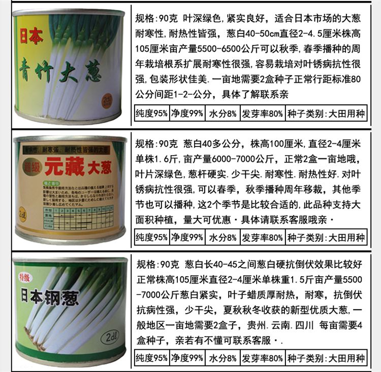  日本钢葱种子铁杆大葱白硬白实