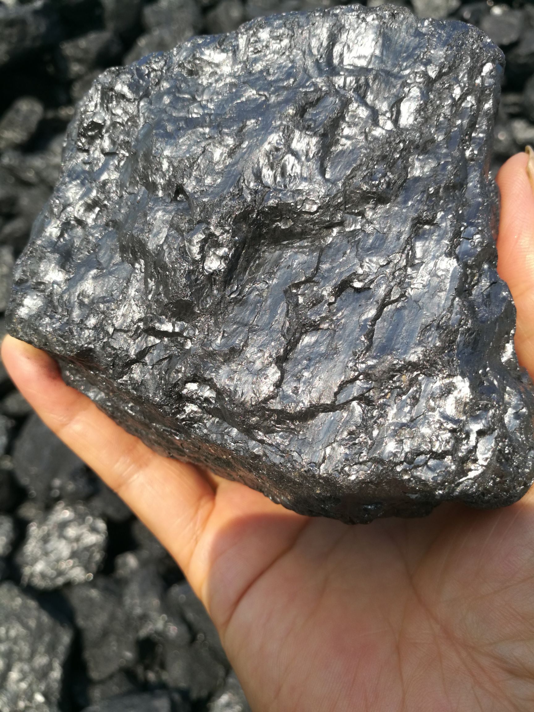 煤炭 专业零售全国各地无烟煤,本人熟悉各地无烟煤特性,为你推荐最适